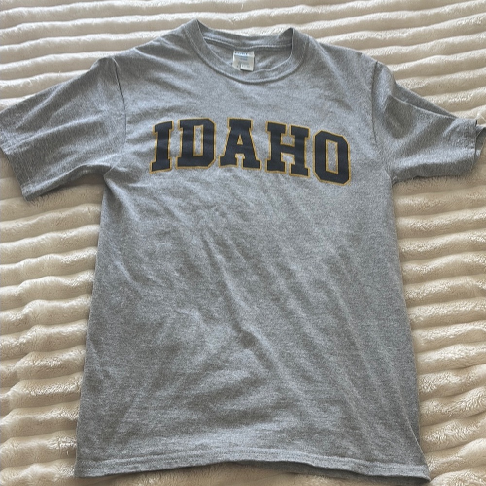 Port and Company Gray Idaho Tee